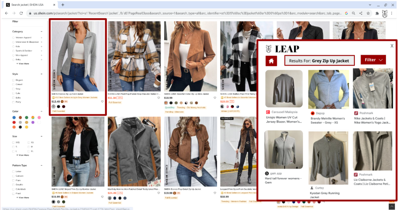 LEAP Web Extension Design